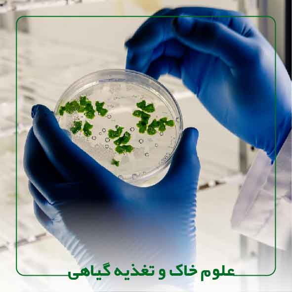 کارشناس ارشد و یا بالاتر علوم خاک و تغذیه گیاهی